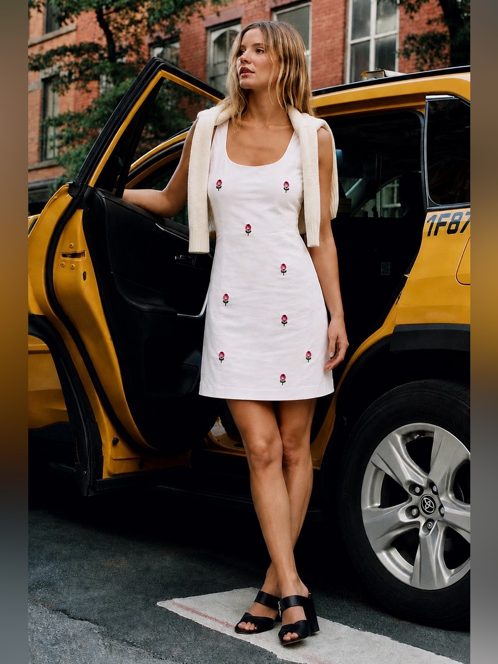 NEW WITH TAGS | LPA Ivory Fencia Soft Mini Dress Embroidered Roses | Small